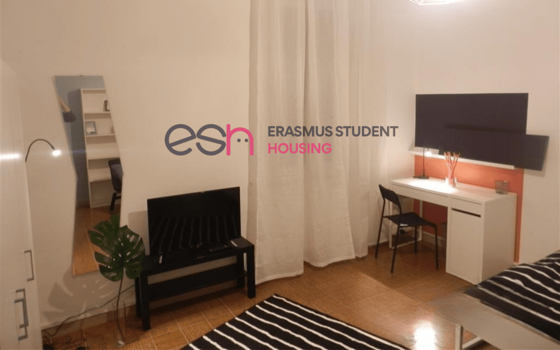 Habitación privada en Pisa photo 4